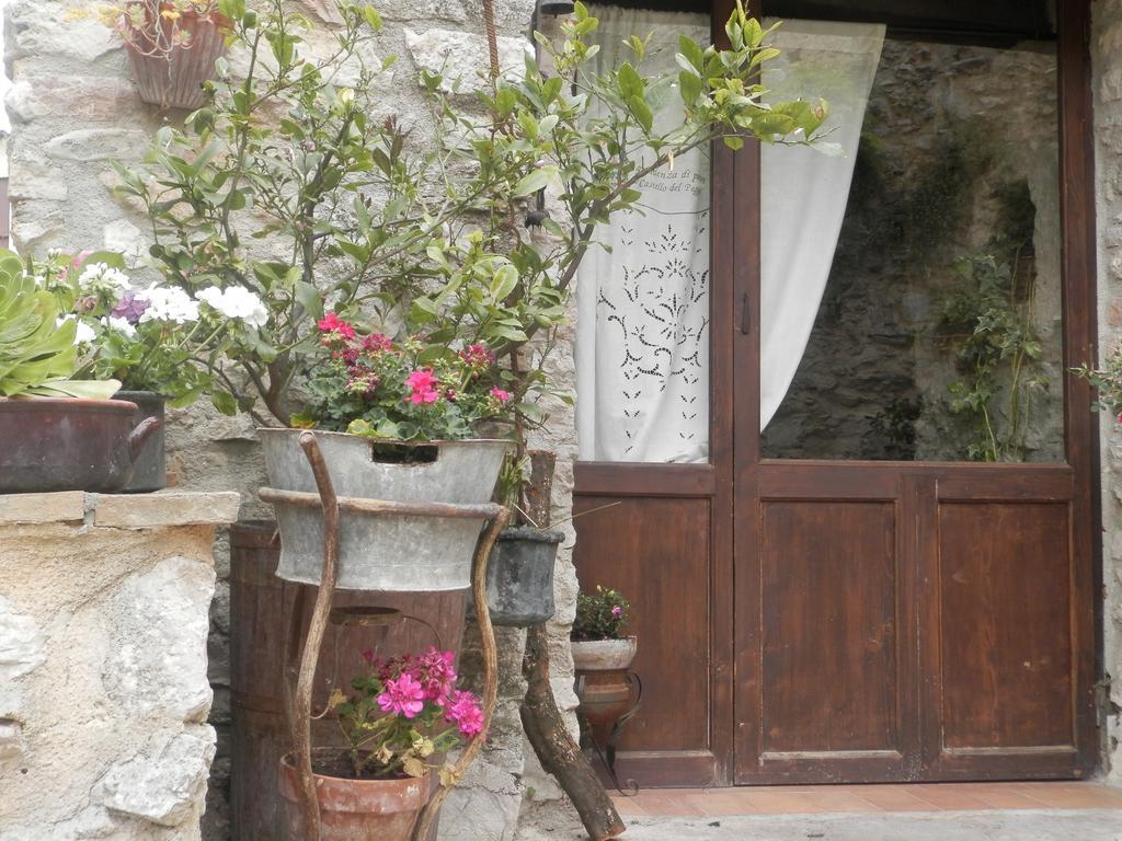 Hotel Residenza Di Paese Castello Del Poggio Ferentillo Exterior foto